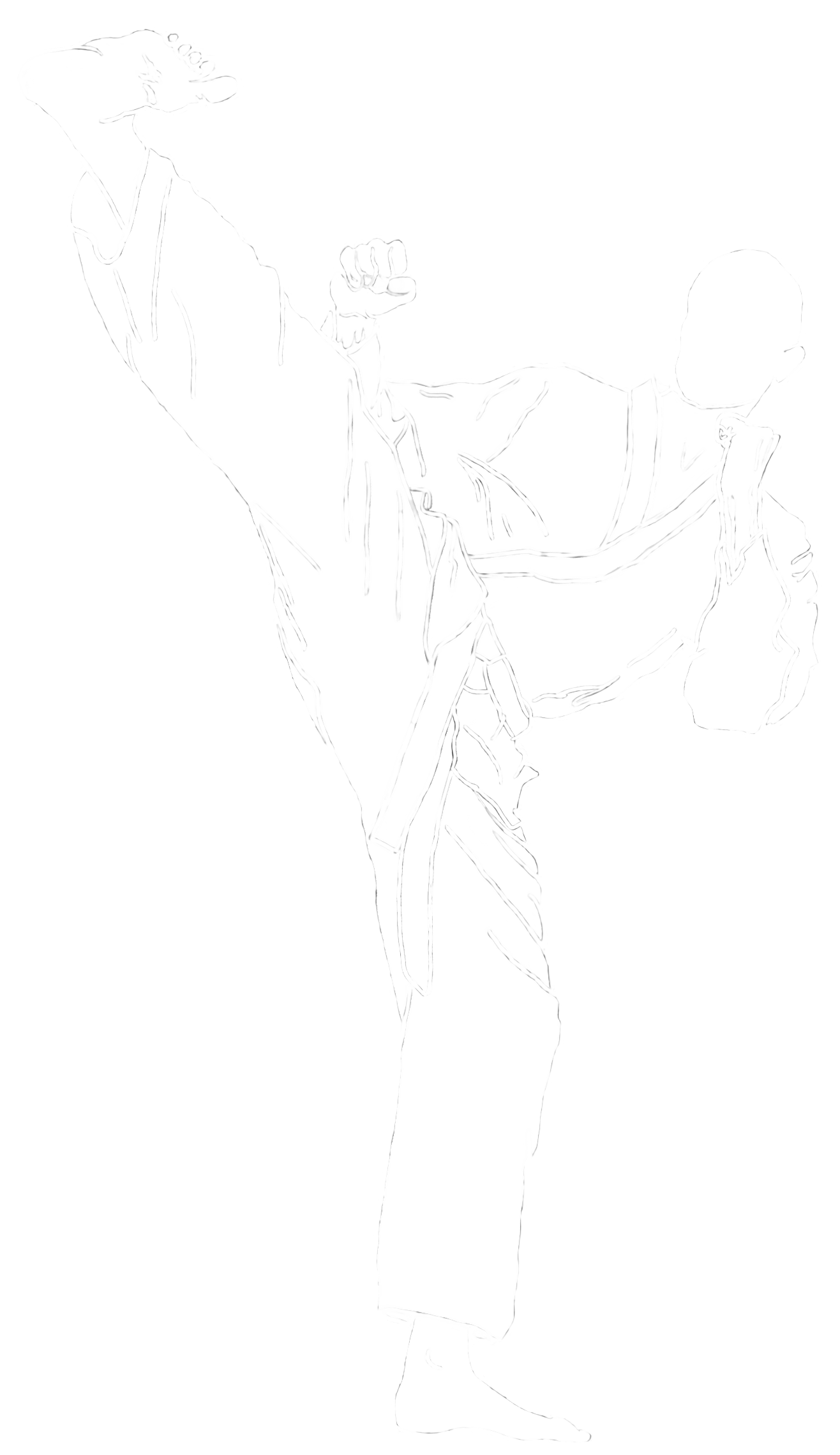 Karate